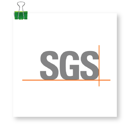 SGS INDIA PVT LTD